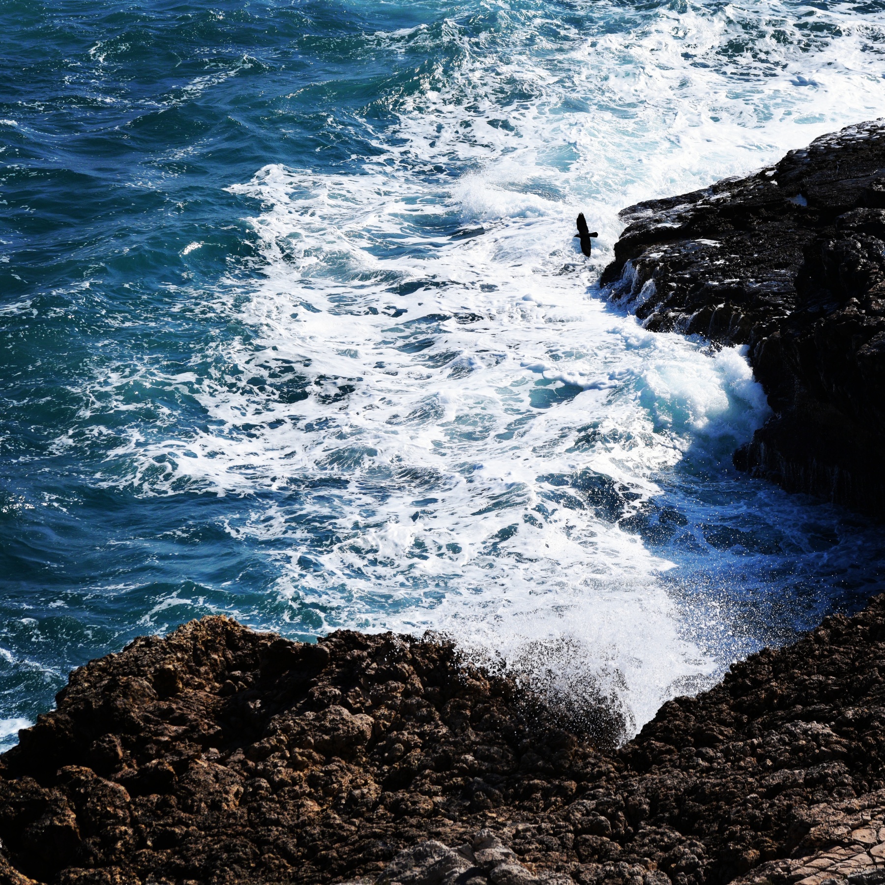 Deniz Neden Mavidir?
